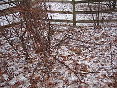 DSC07634