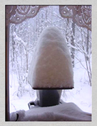 Birdfeeder, 12-30-2000, photo by Tom Rue.